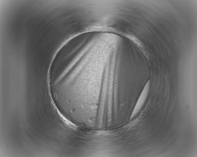 X0000067841430200605041638