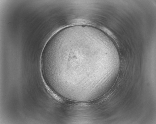 X0000067841431200605041638