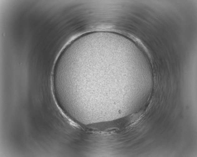 X0000067841432200605041638