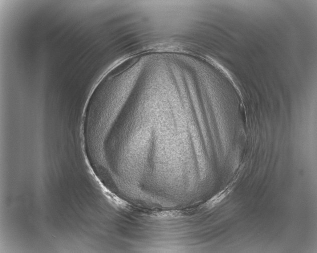 X0000067841434200605041638