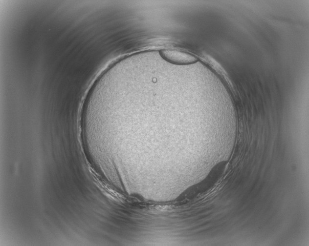 X0000067841435200605041638