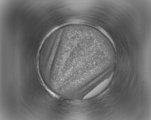 X0000067841437200605041638