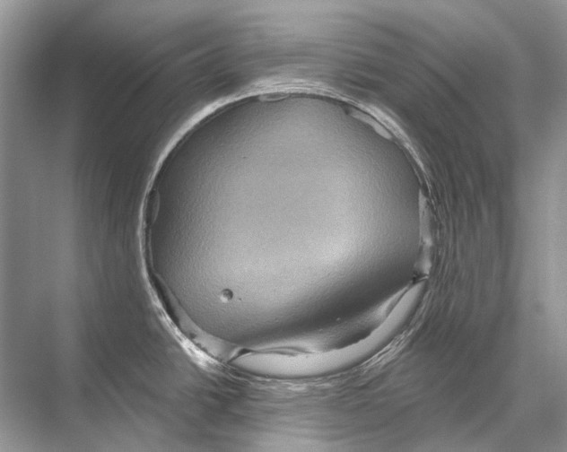 X0000067841438200605041638