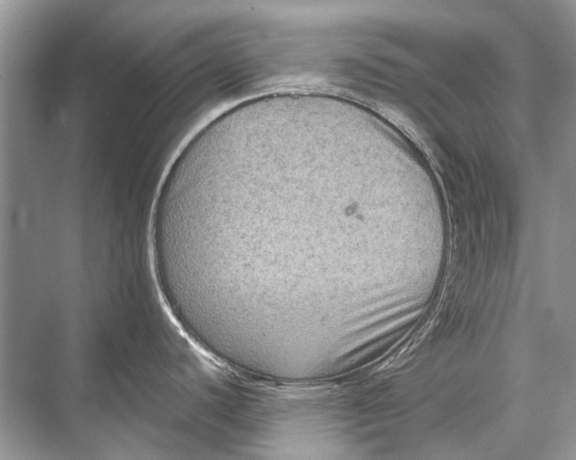 X0000067841440200605041638