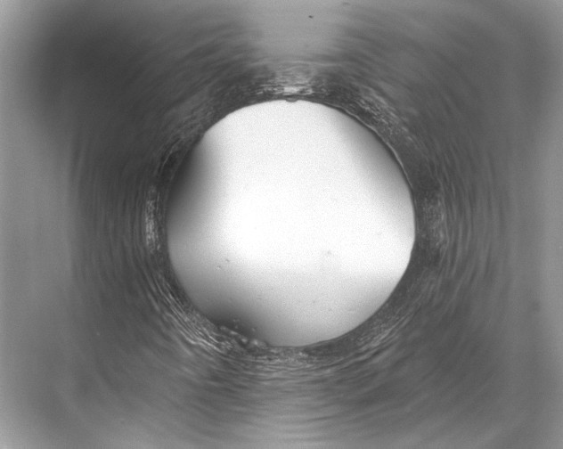 X0000067841442200605041637