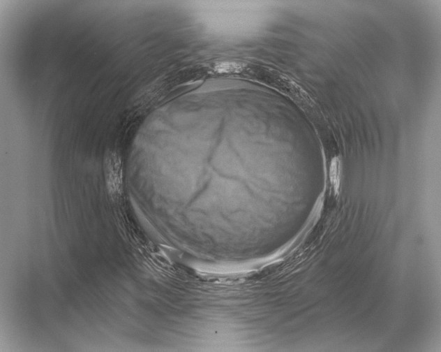 X0000067841443200605041637