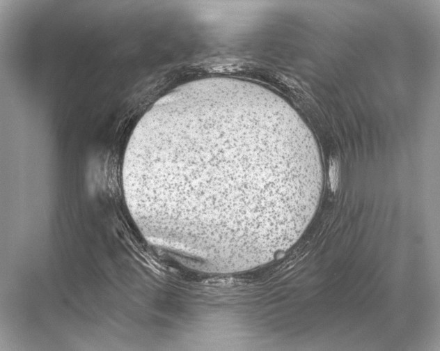 X0000067841444200605041637