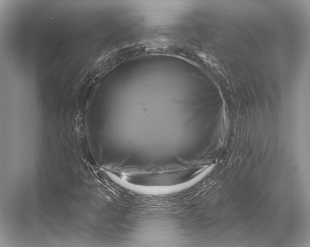 X0000067841445200605041637