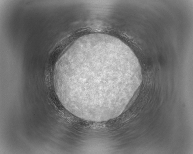 X0000067841446200605041637