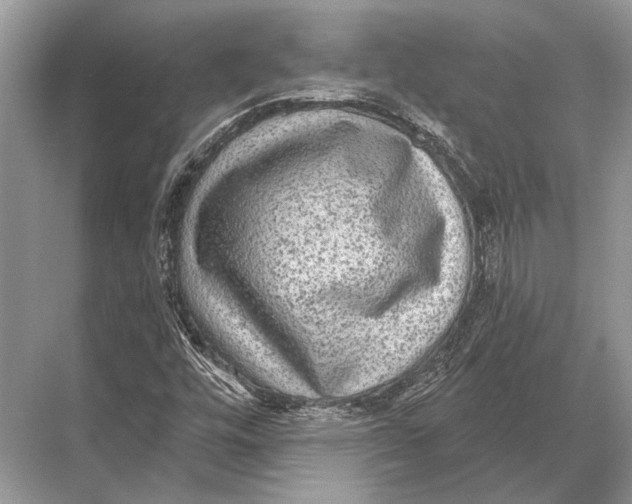 X0000067841448200605041637