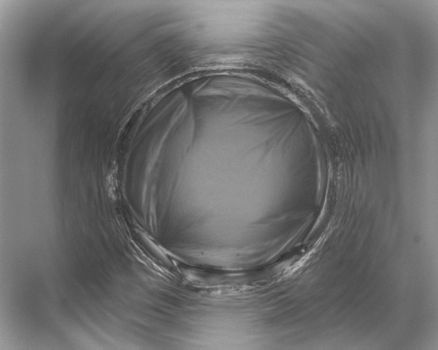 X0000067841449200605041637