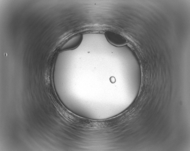 X0000067841451200605041637