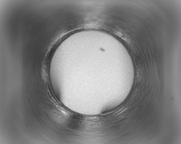 X0000067841454200605041637