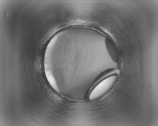 X0000067841455200605041637