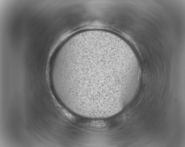 X0000067841464200605041637