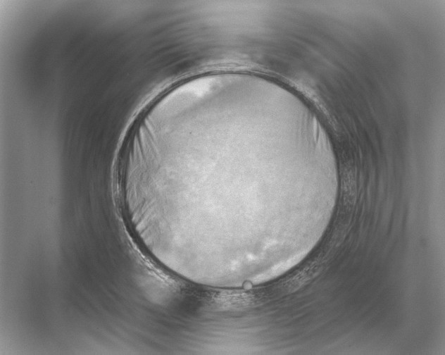 X0000067841466200605041637