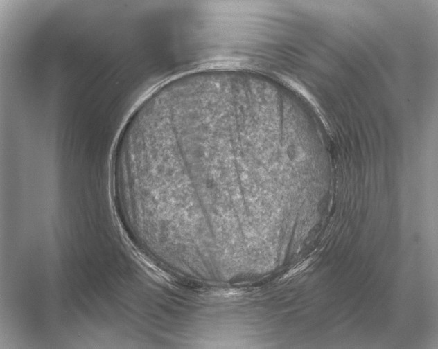 X0000067841467200605041637