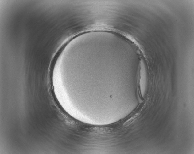 X0000067841469200605041637