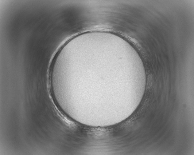 X0000067841470200605041637