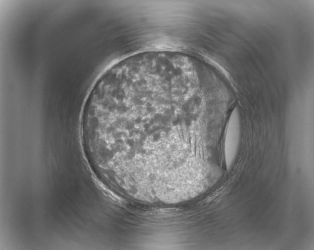 X0000067841471200605041637