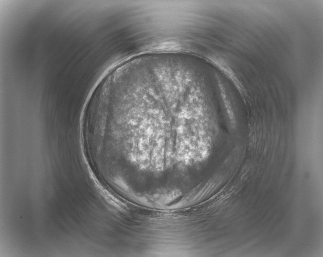 X0000067841475200605041636