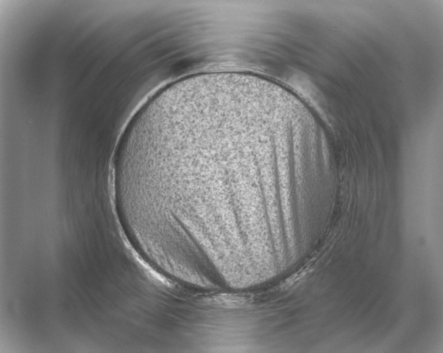 X0000067841476200605041636