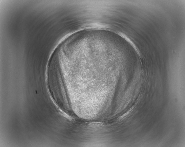 X0000067841477200605041636