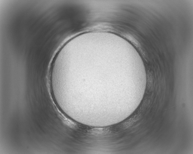 X0000067841478200605041636