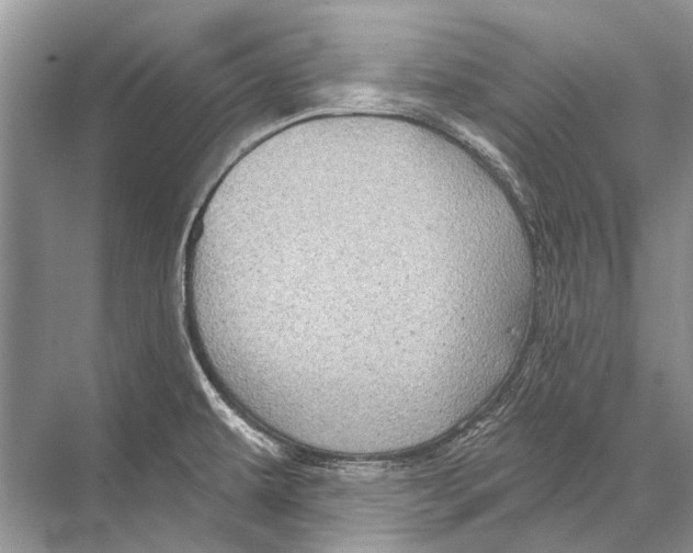 X0000067841479200605041636