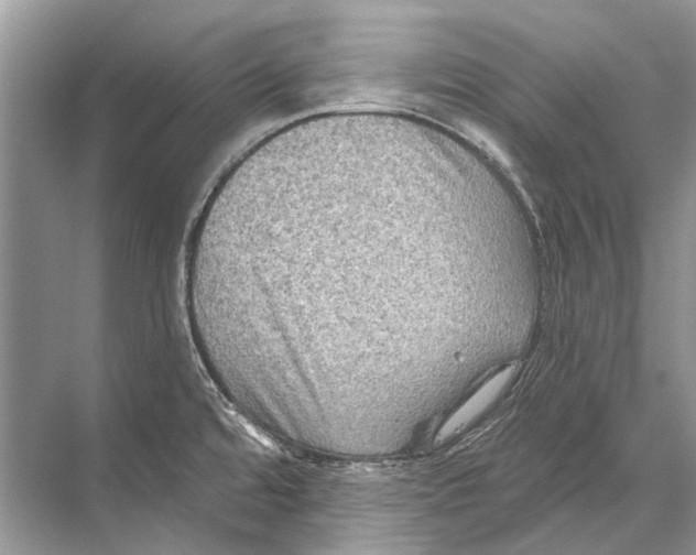 X0000067841480200605041636