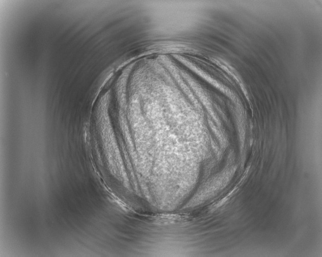 X0000067841481200605041636