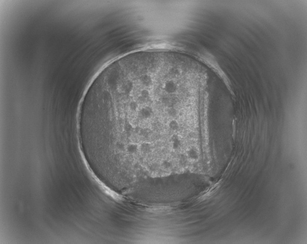 X0000067841483200605041636