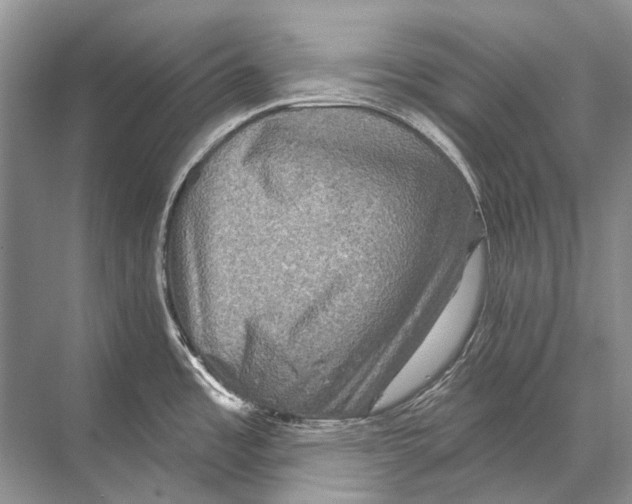 X0000067841485200605041636