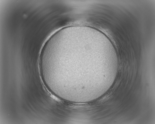 X0000067841486200605041636