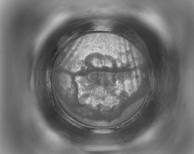 X0000067841487200605041636