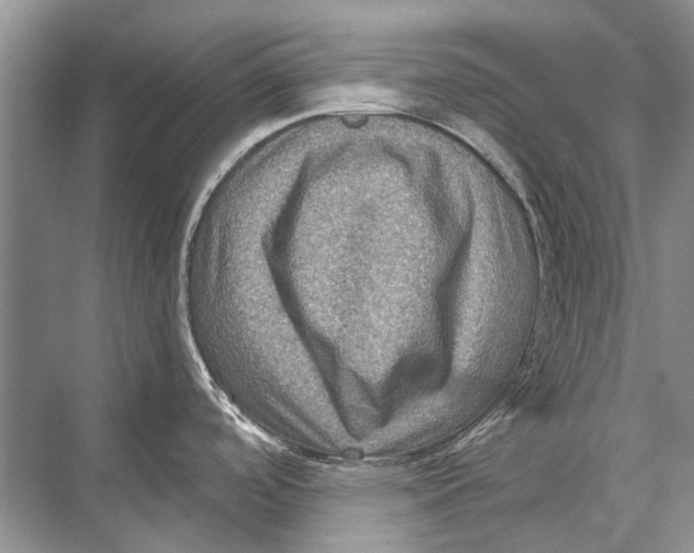 X0000067841488200605041636