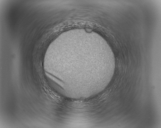 X0000067841489200605041635