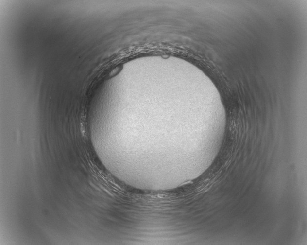 X0000067841490200605041635