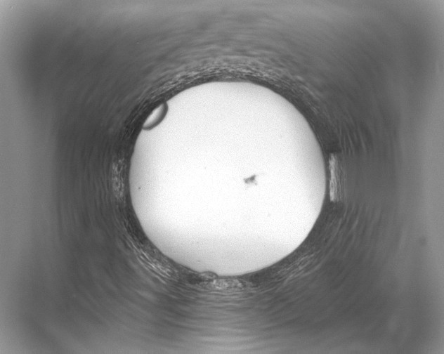 X0000067841491200605041635