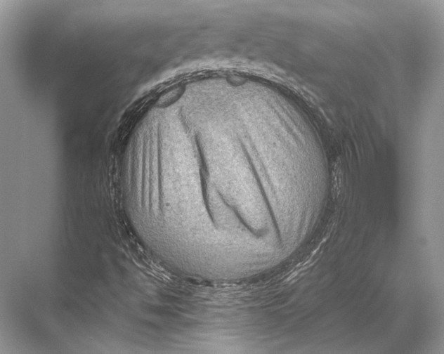 X0000067841494200605041636