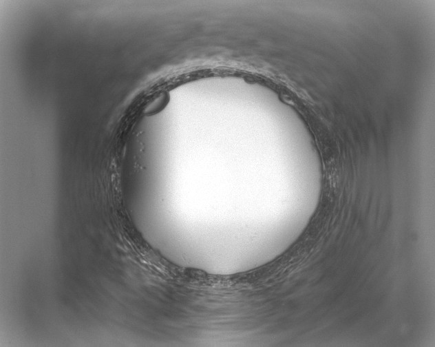 X0000067841495200605041636