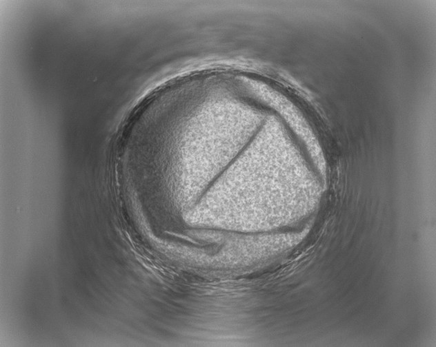 X0000067841496200605041636