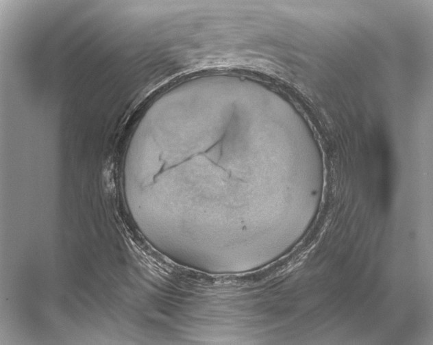 X0000067841497200605041636