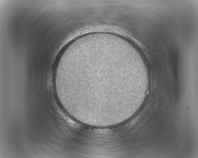 X0000067841498200605041636