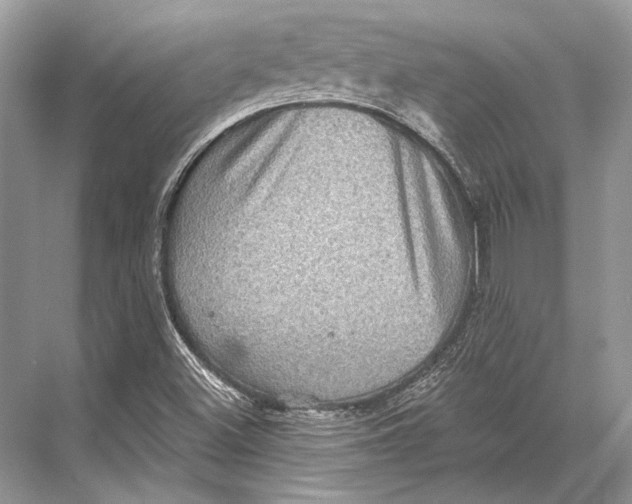 X0000067841500200605041636