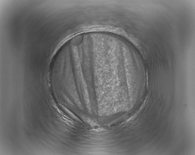 X0000067841501200605041636