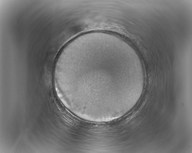 X0000067841505200605041636