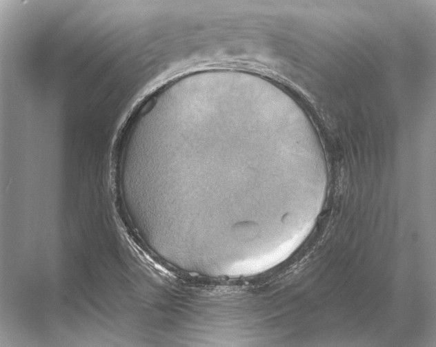 X0000067841506200605041636