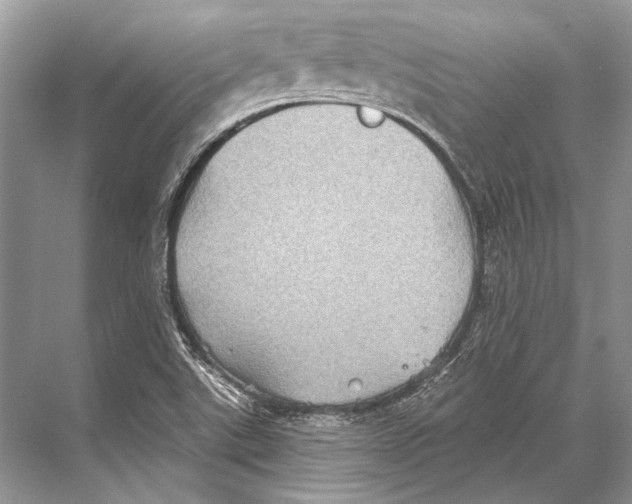 X0000067841507200605041636