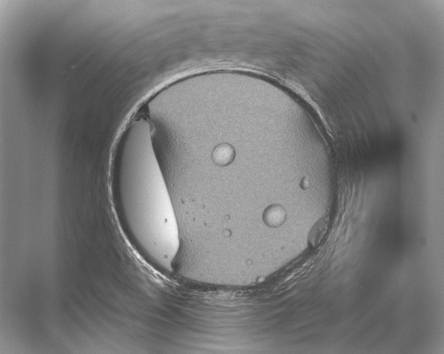 X0000067841508200605041636